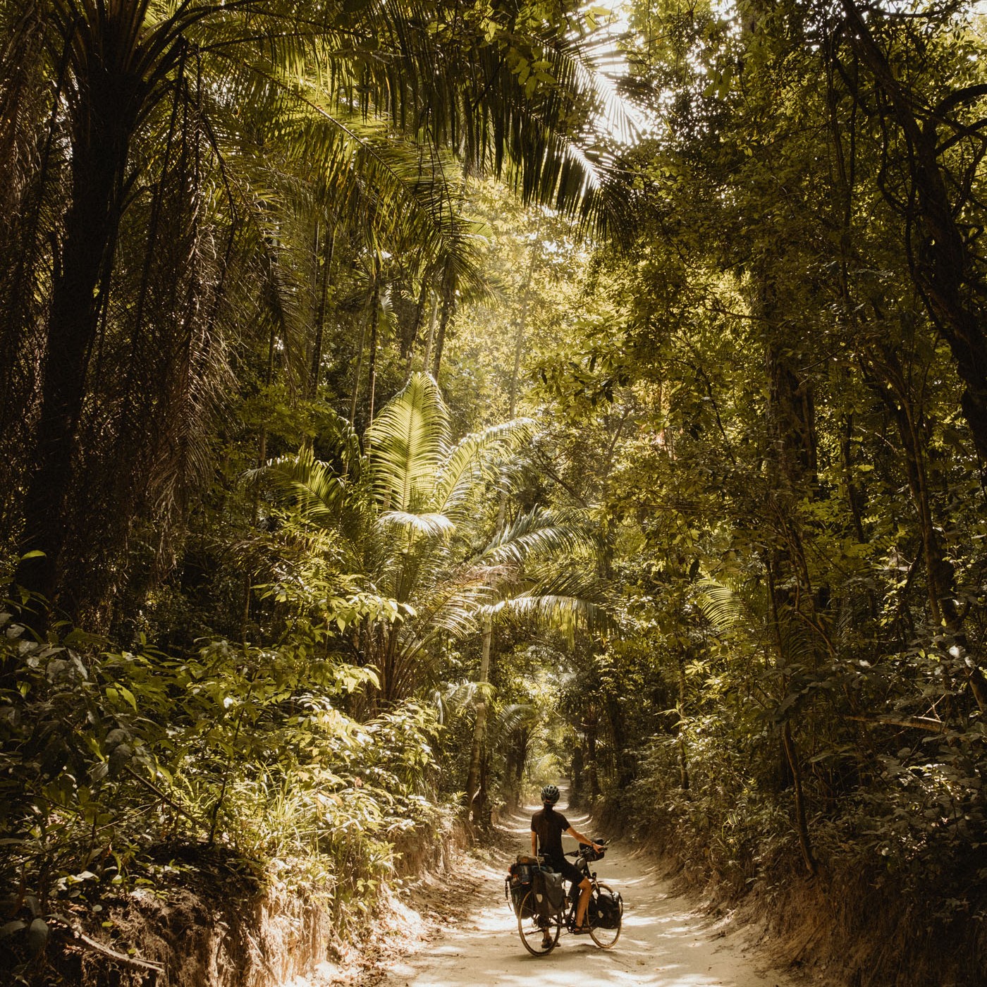 Cycliste avec des pneus Tannus dans une forêt entourée d'arbres et de grandes plantes.