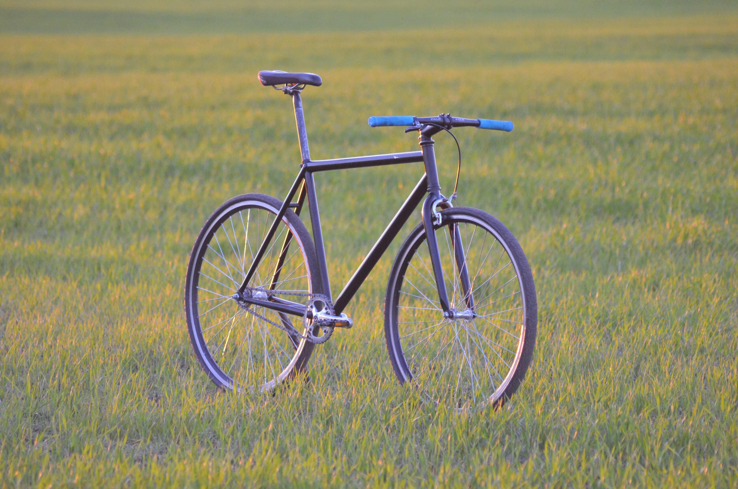 Fiets met Tannus Tires massieve lekvrije banden op het platteland, paarse kleur