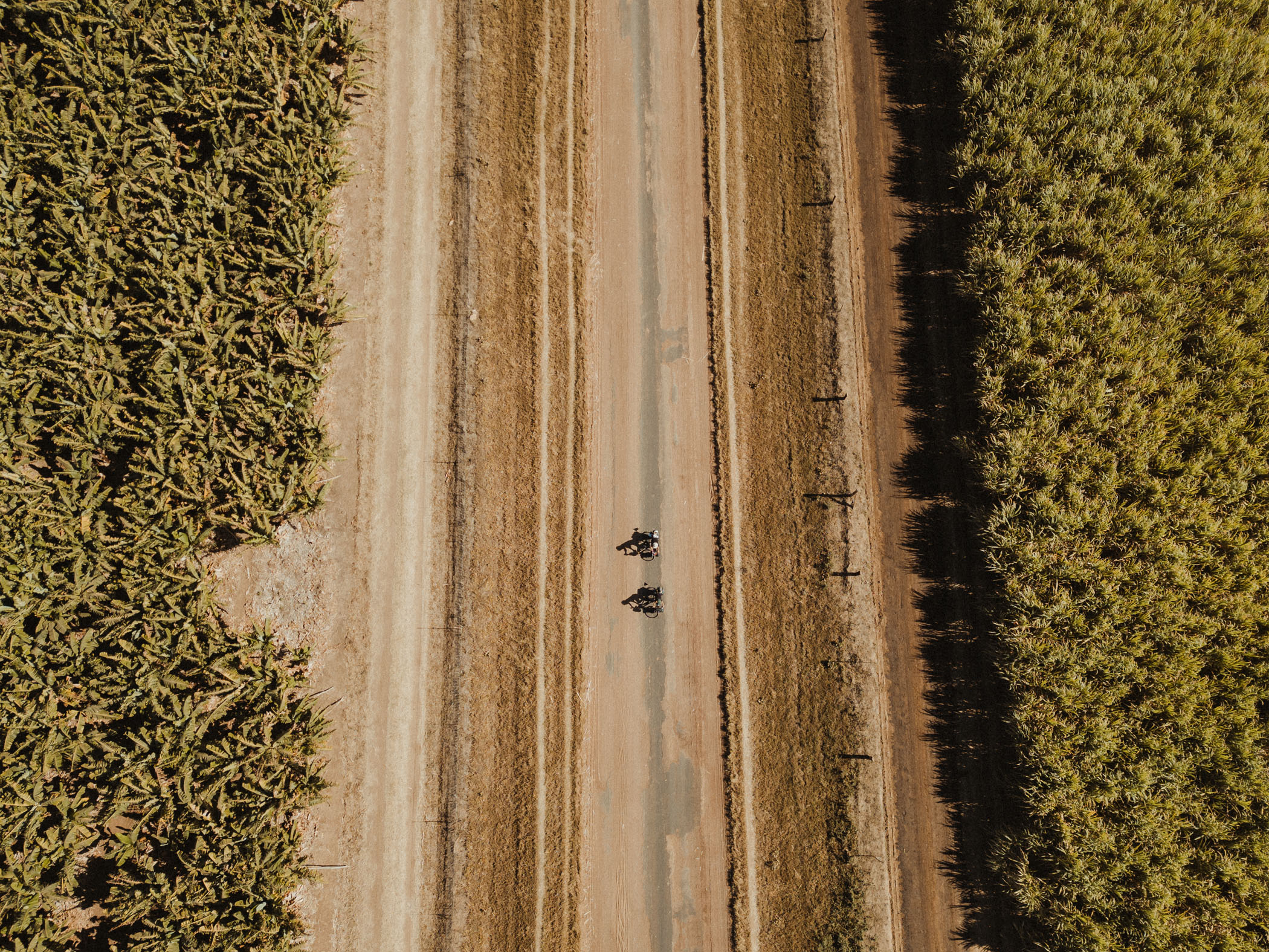 Zenith shot of eKAraban members pedaling on a dry road surrounded by green vegetation.