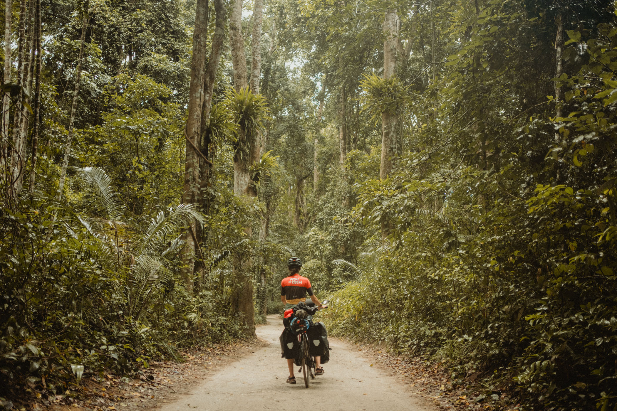 David se promène avec son vélo au milieu de beaucoup de verdure