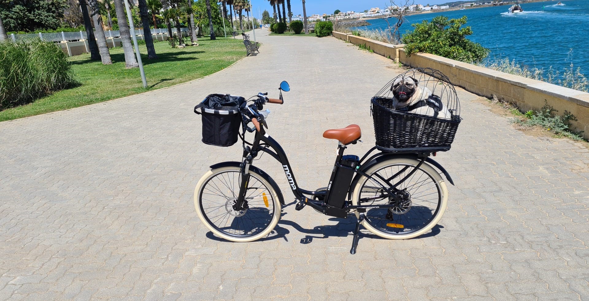 Urban bike equipped with Tannus solid puncture-proof tires, color "Sahara".