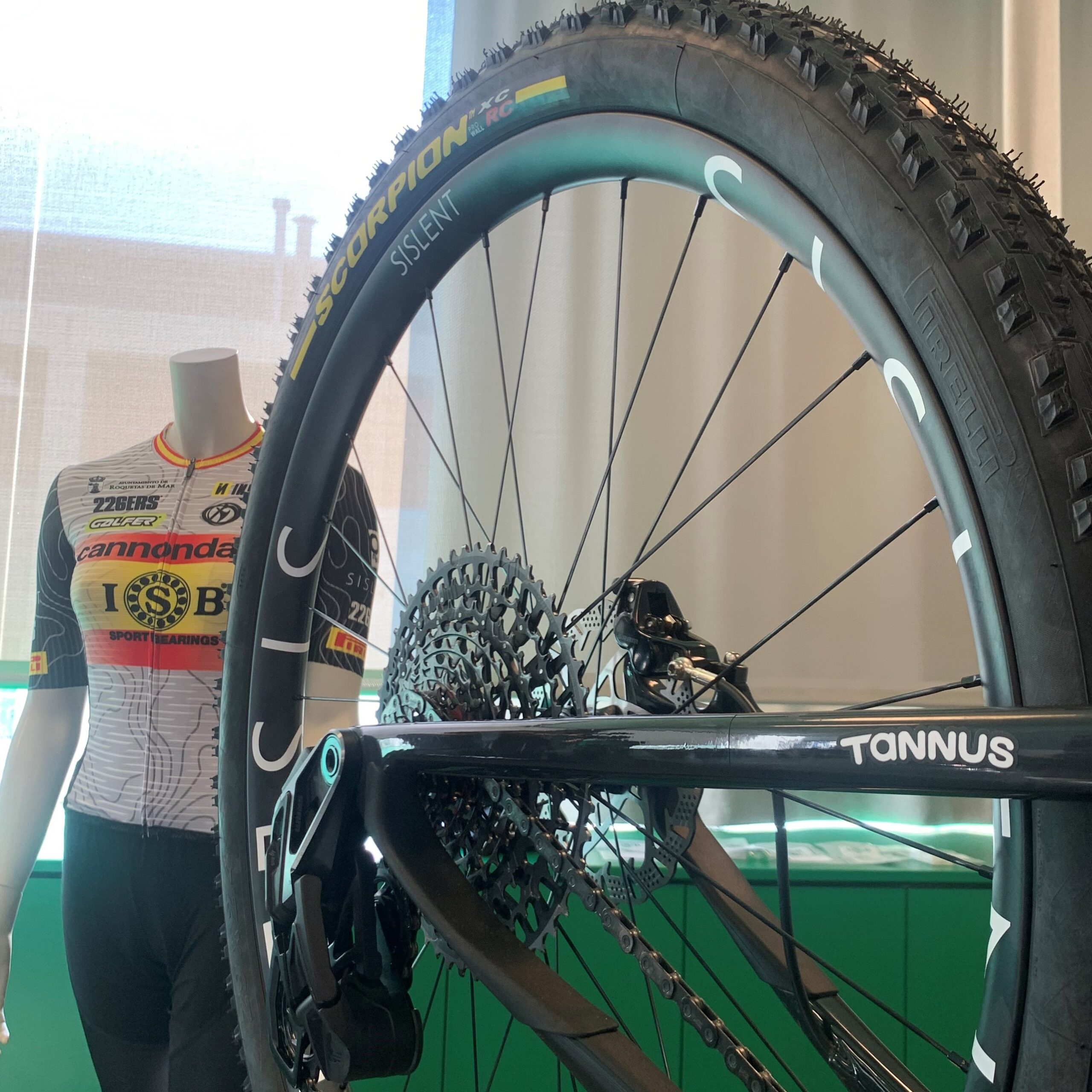 Cannondale team bike wheel with Tannus sticker, and the official jersey in the background on a mannequin.