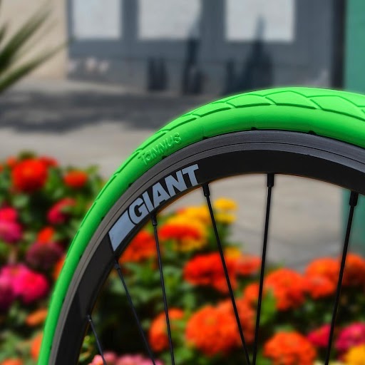 Tannus pneus Vert "Melon" avec fleurs en arrière-plan